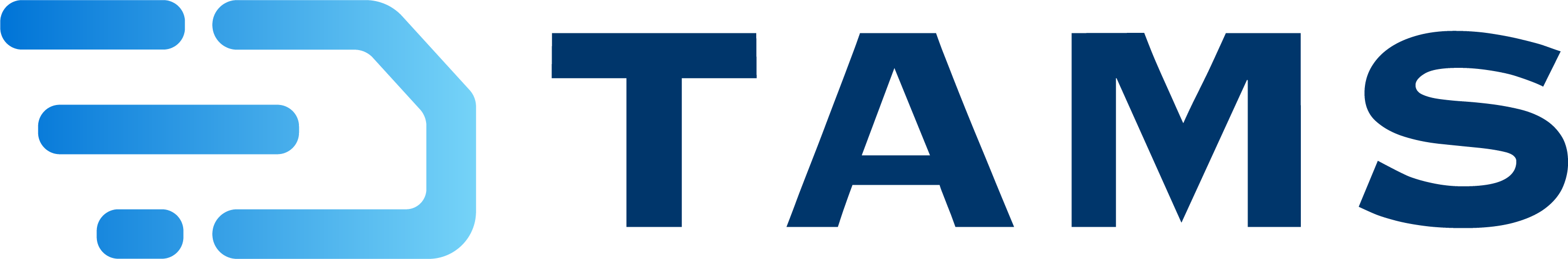 Логотип системы TAMS